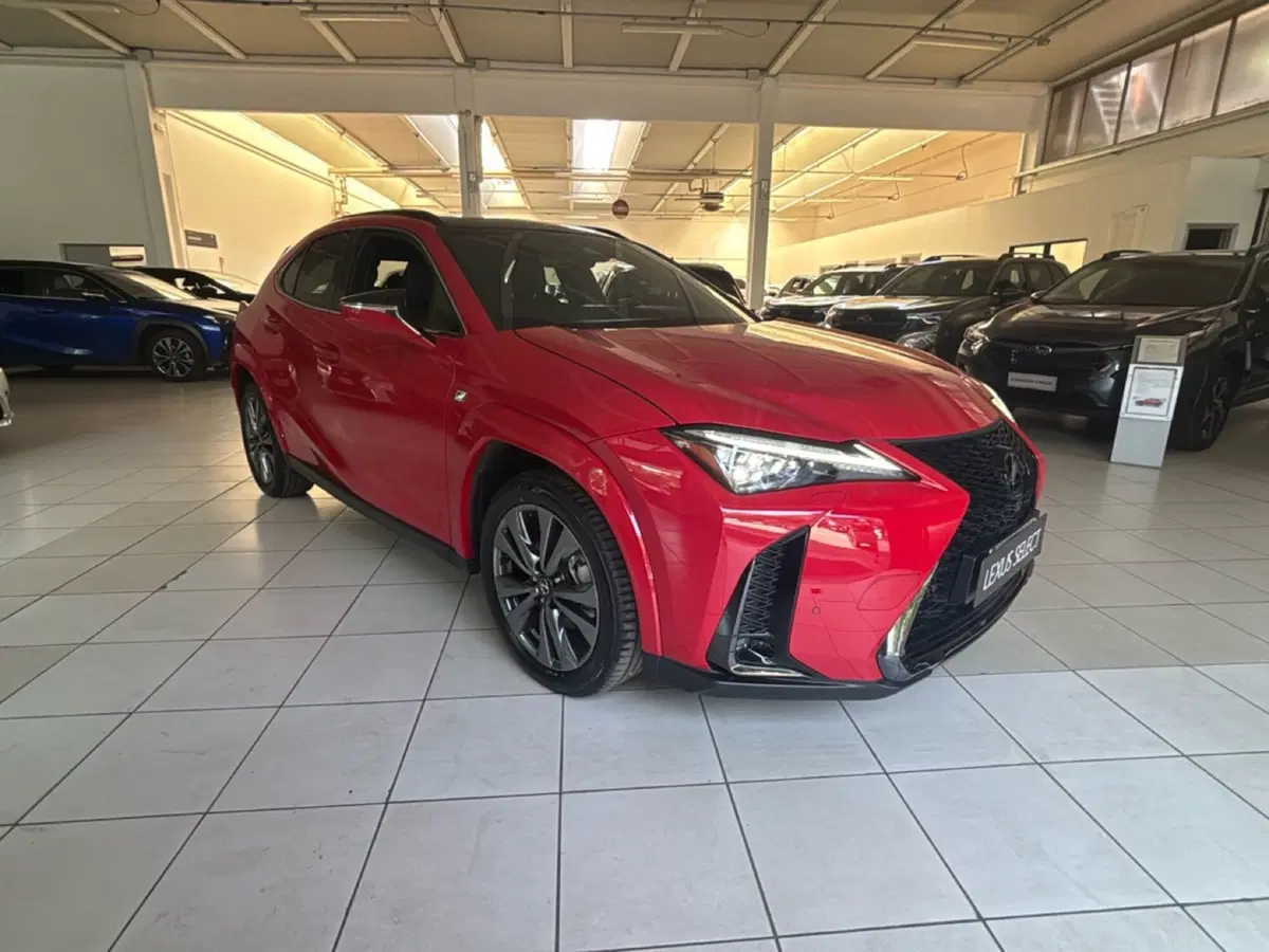 Lexus UX usata a Bologna (2)