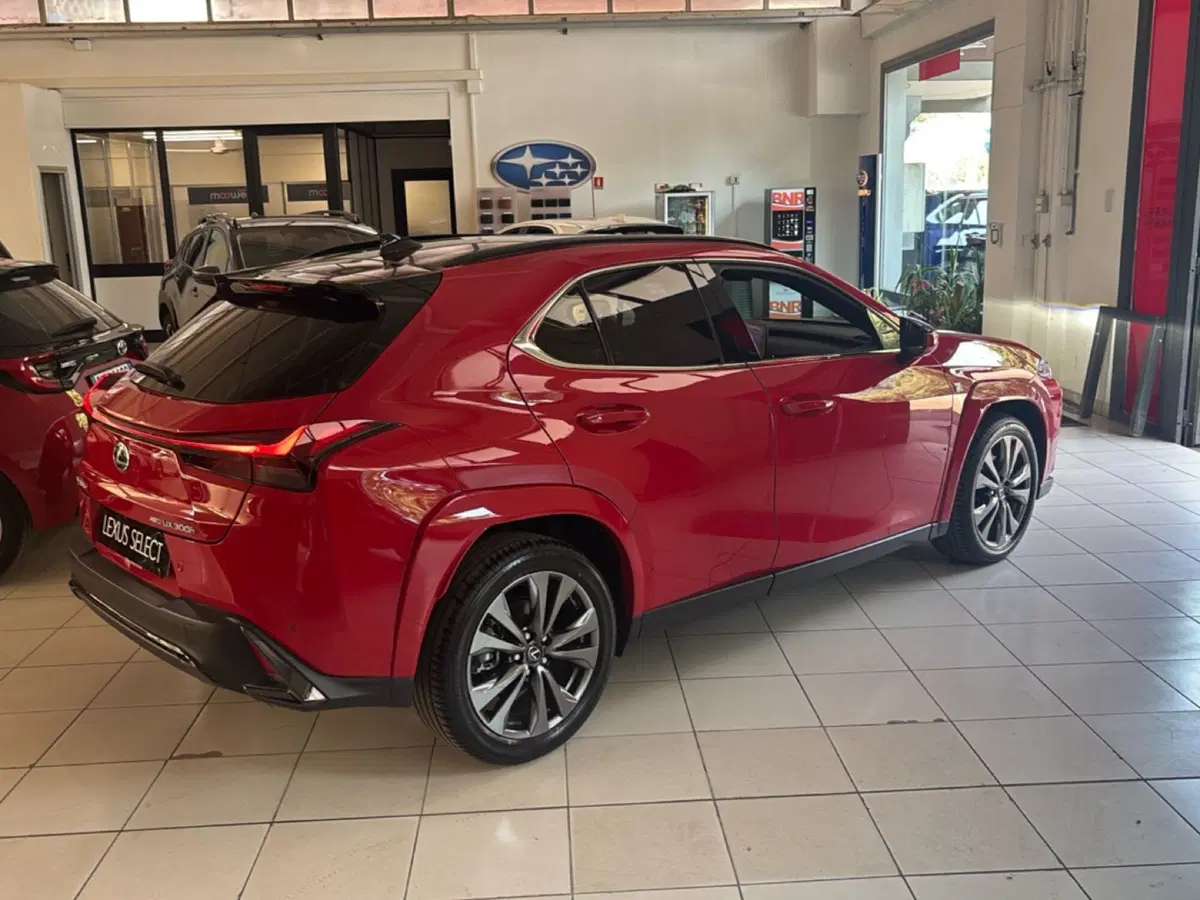 Lexus UX usata a Bologna (6)