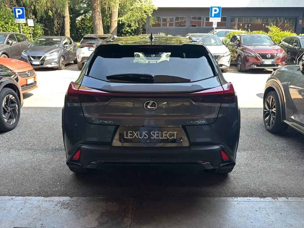 Lexus UX usata a Bologna (4)