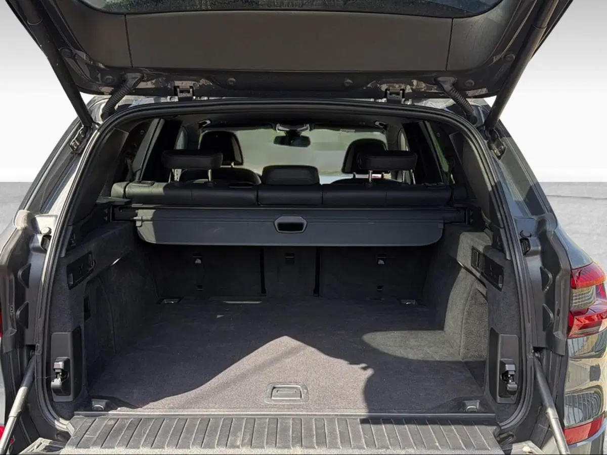 BMW X5 usata a Siena (6)