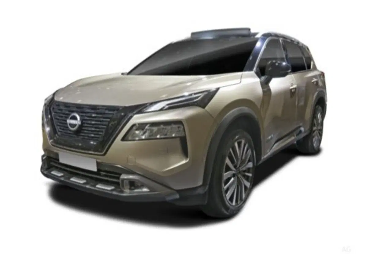 Nissan X-Trail usata a Parma (4)