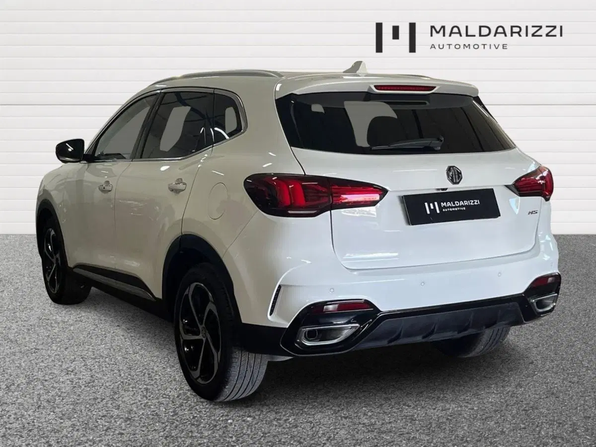 Mg HS usata a Bari (4)