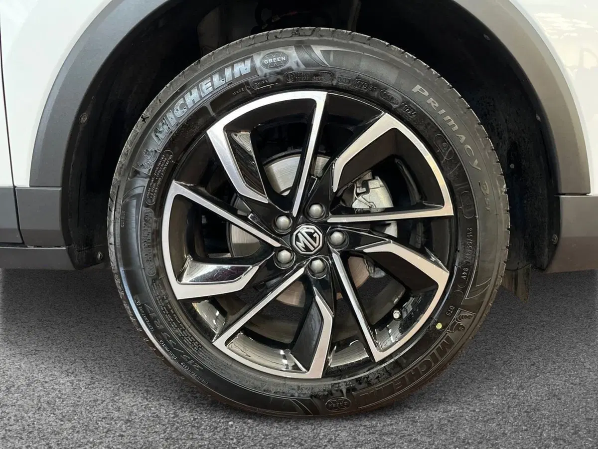 Mg ZS usata a Bari (6)
