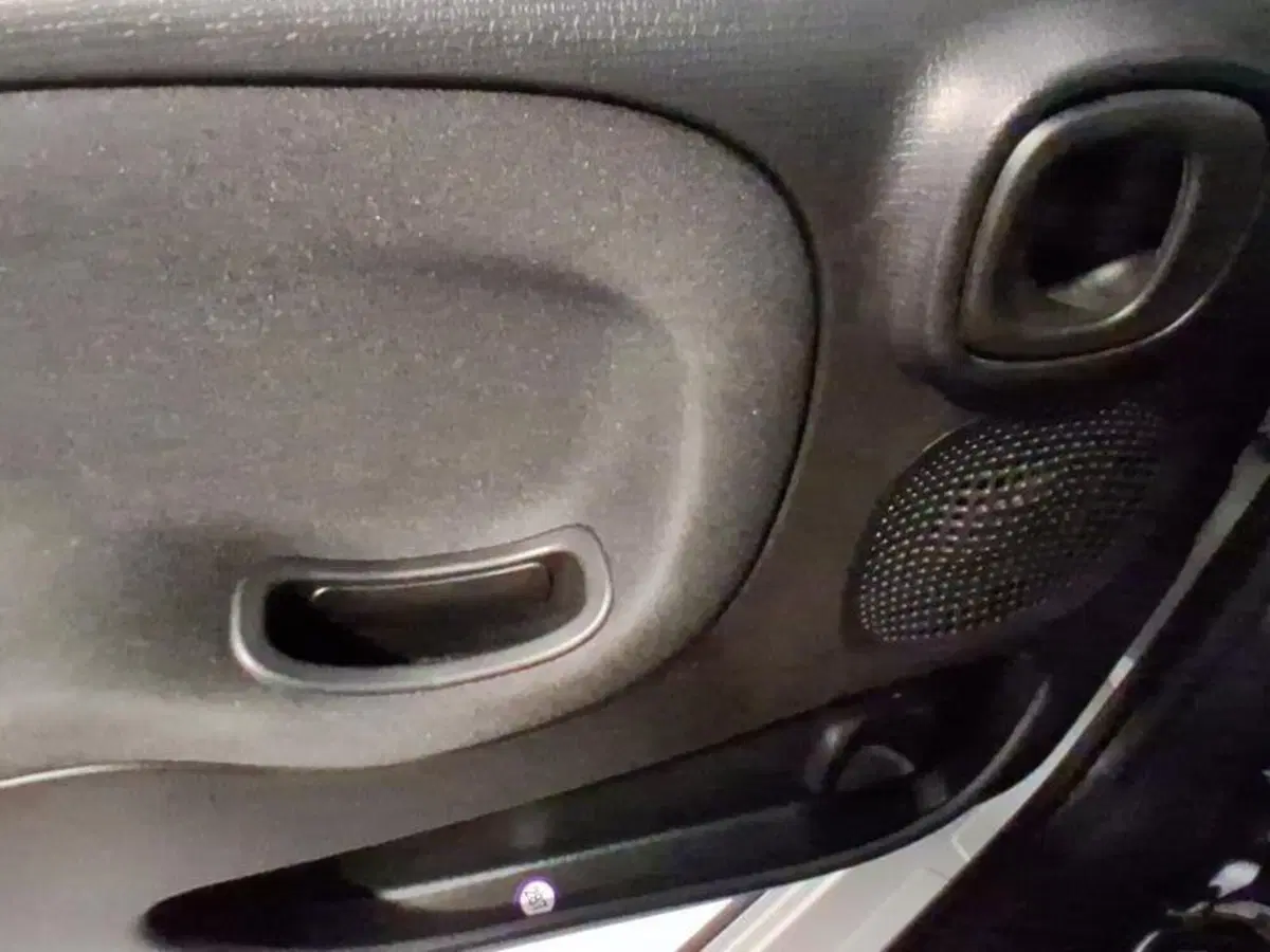 Fiat Panda Cross usata a Genova (12)