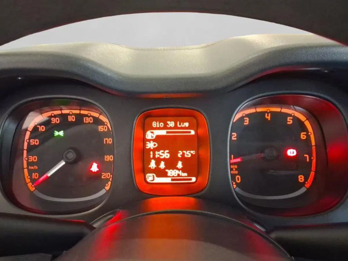 Fiat Panda Cross usata a Genova (13)