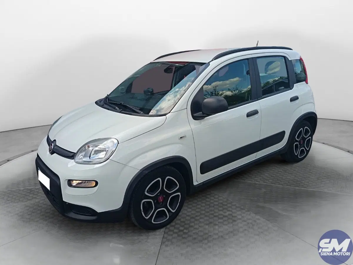 Fiat Panda usata a Siena
