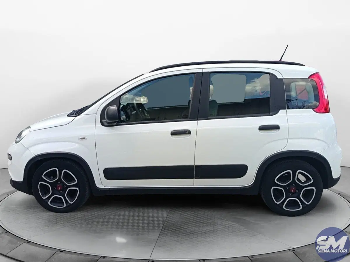 Fiat Panda usata a Siena (2)