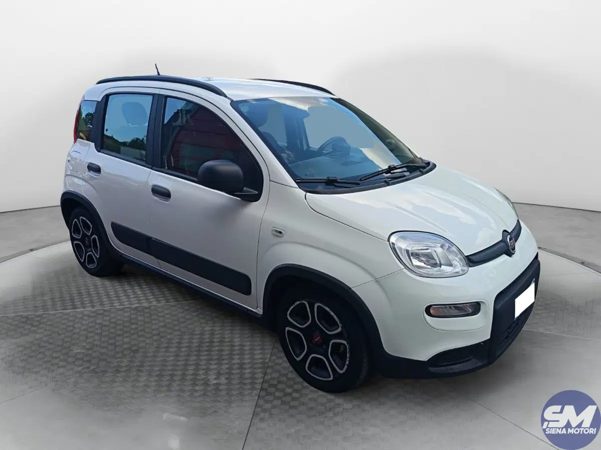 Fiat Panda usata a Siena (6)