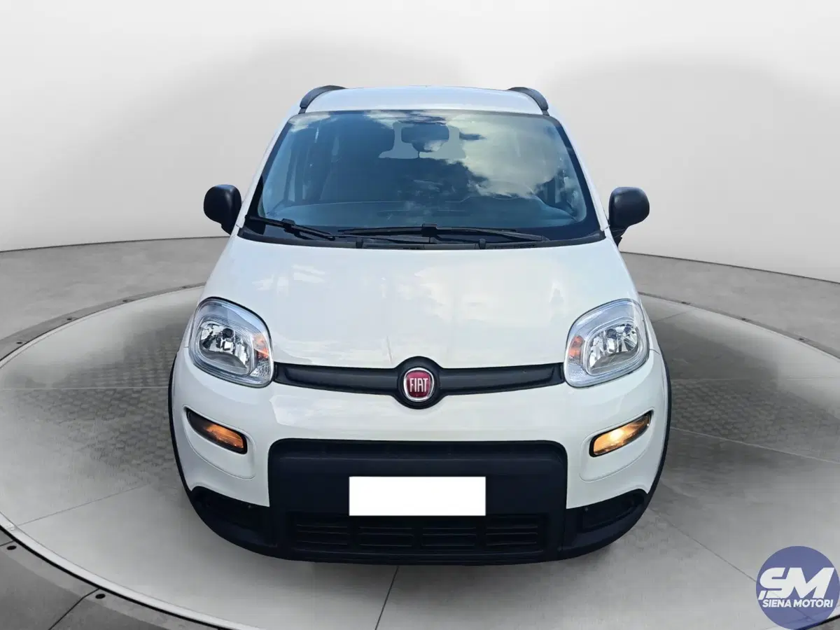 Fiat Panda usata a Siena (7)