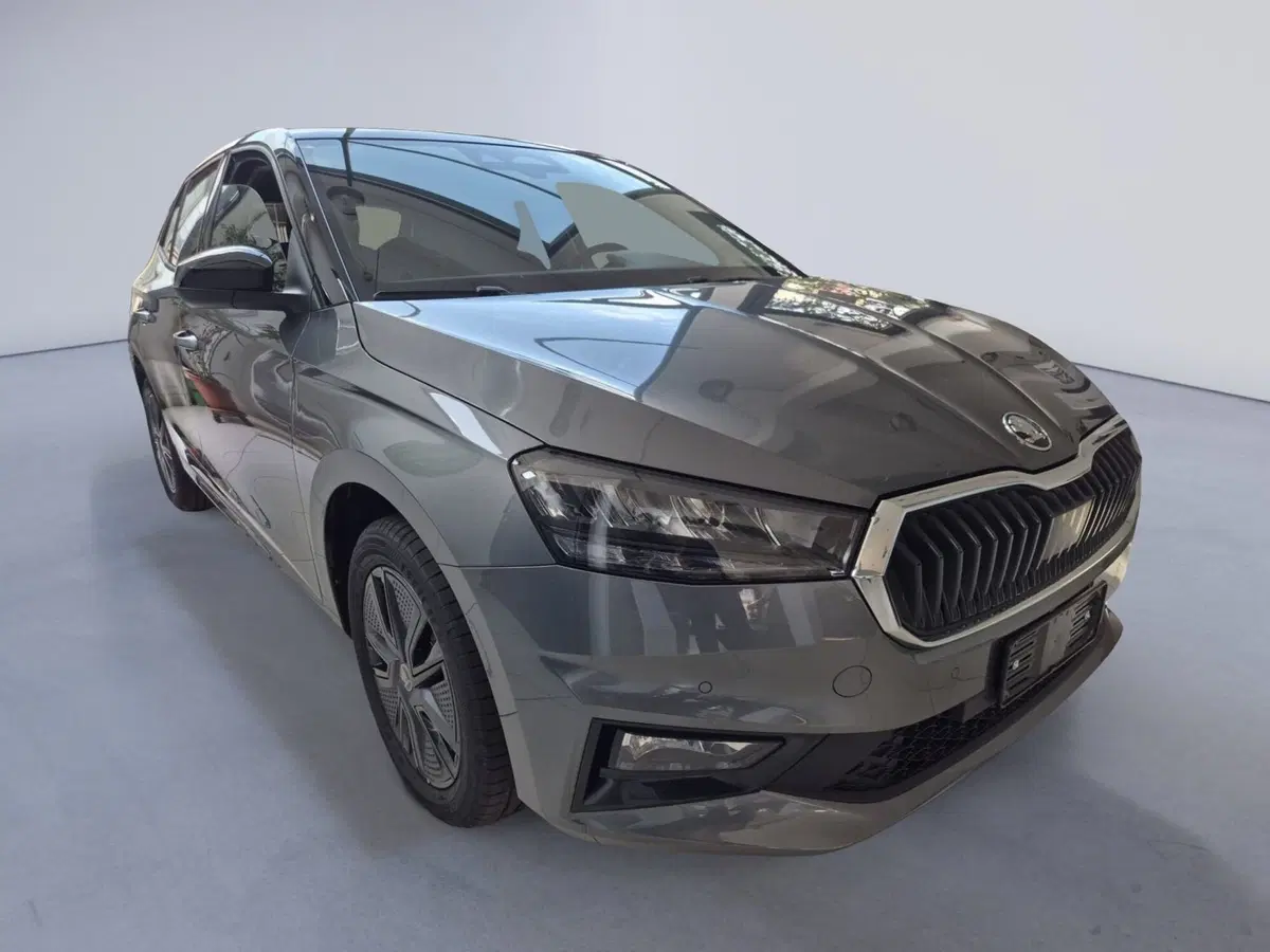 Skoda Fabia nuova a Torino