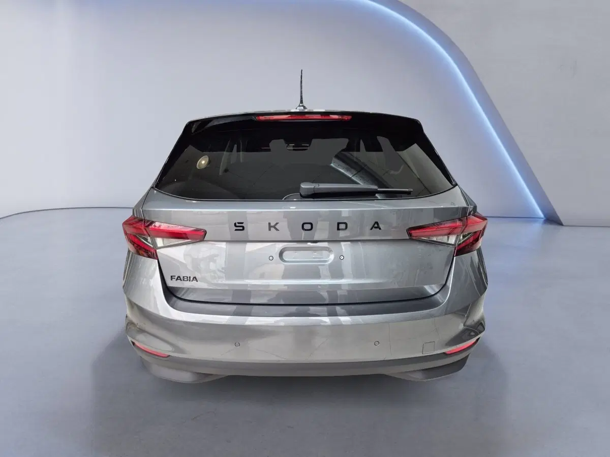 Skoda Fabia nuova a Torino (12)