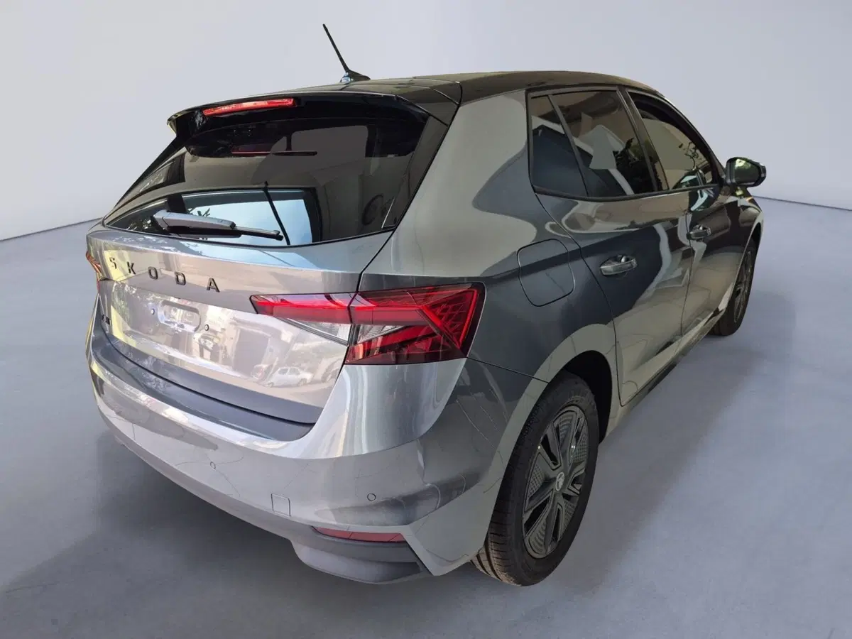 Skoda Fabia nuova a Torino (13)