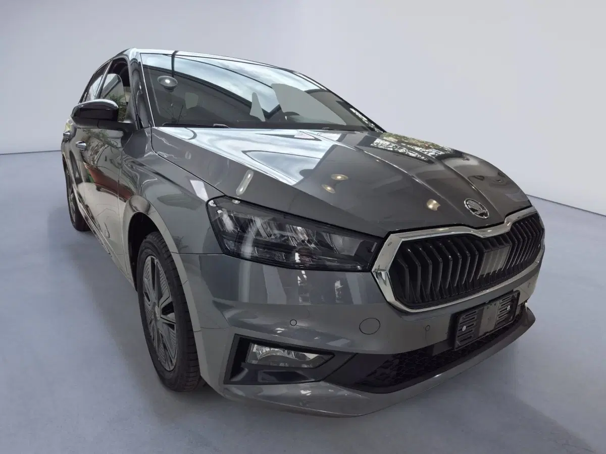 Skoda Fabia nuova a Torino (2)