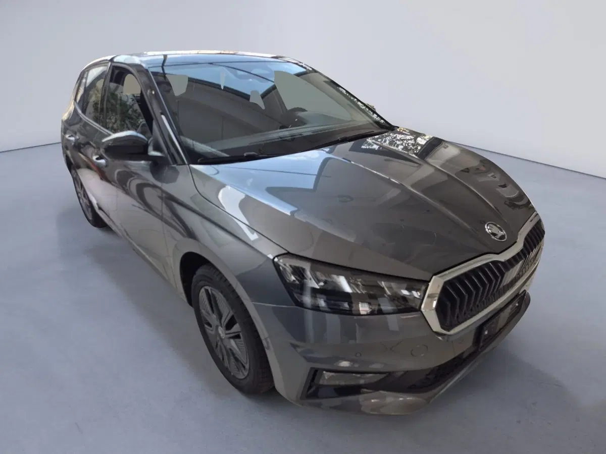 Skoda Fabia nuova a Torino (3)