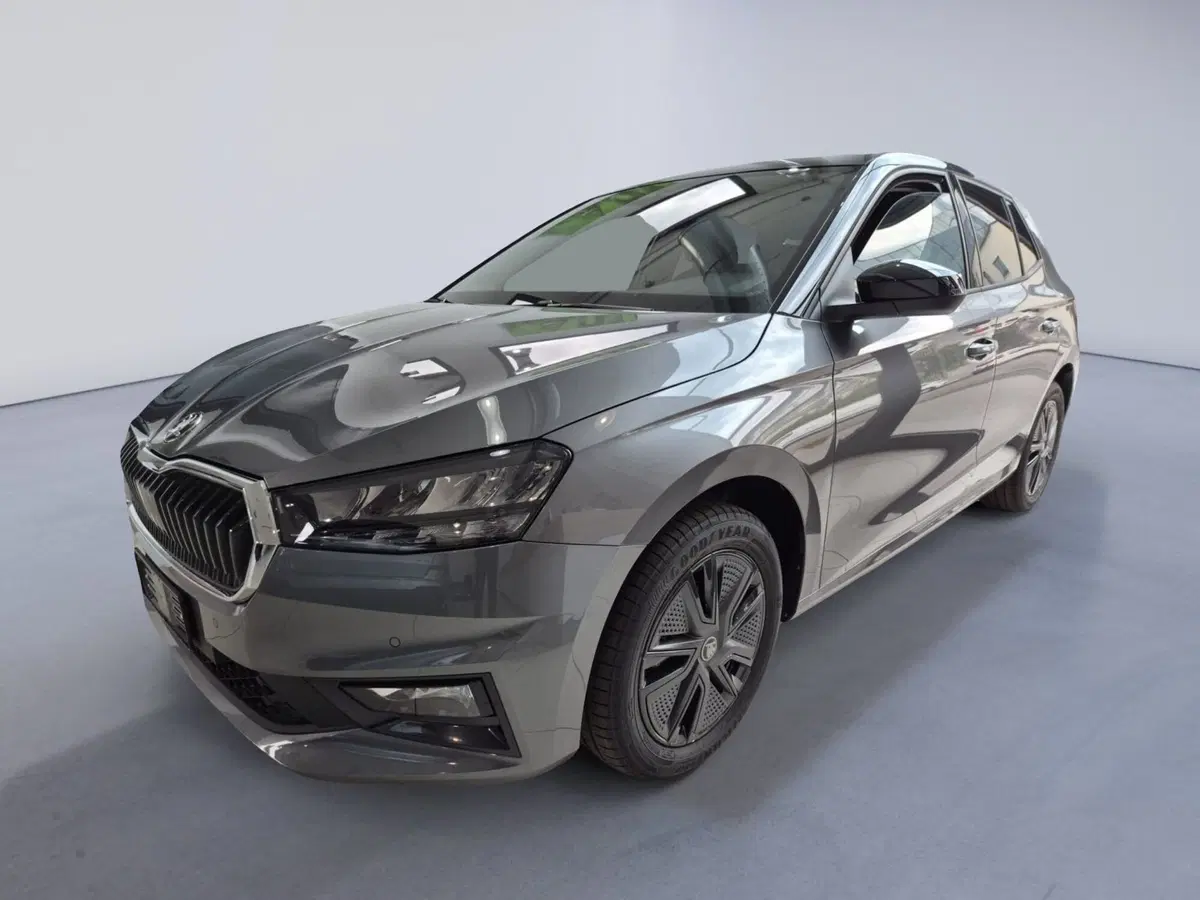 Skoda Fabia nuova a Torino (6)