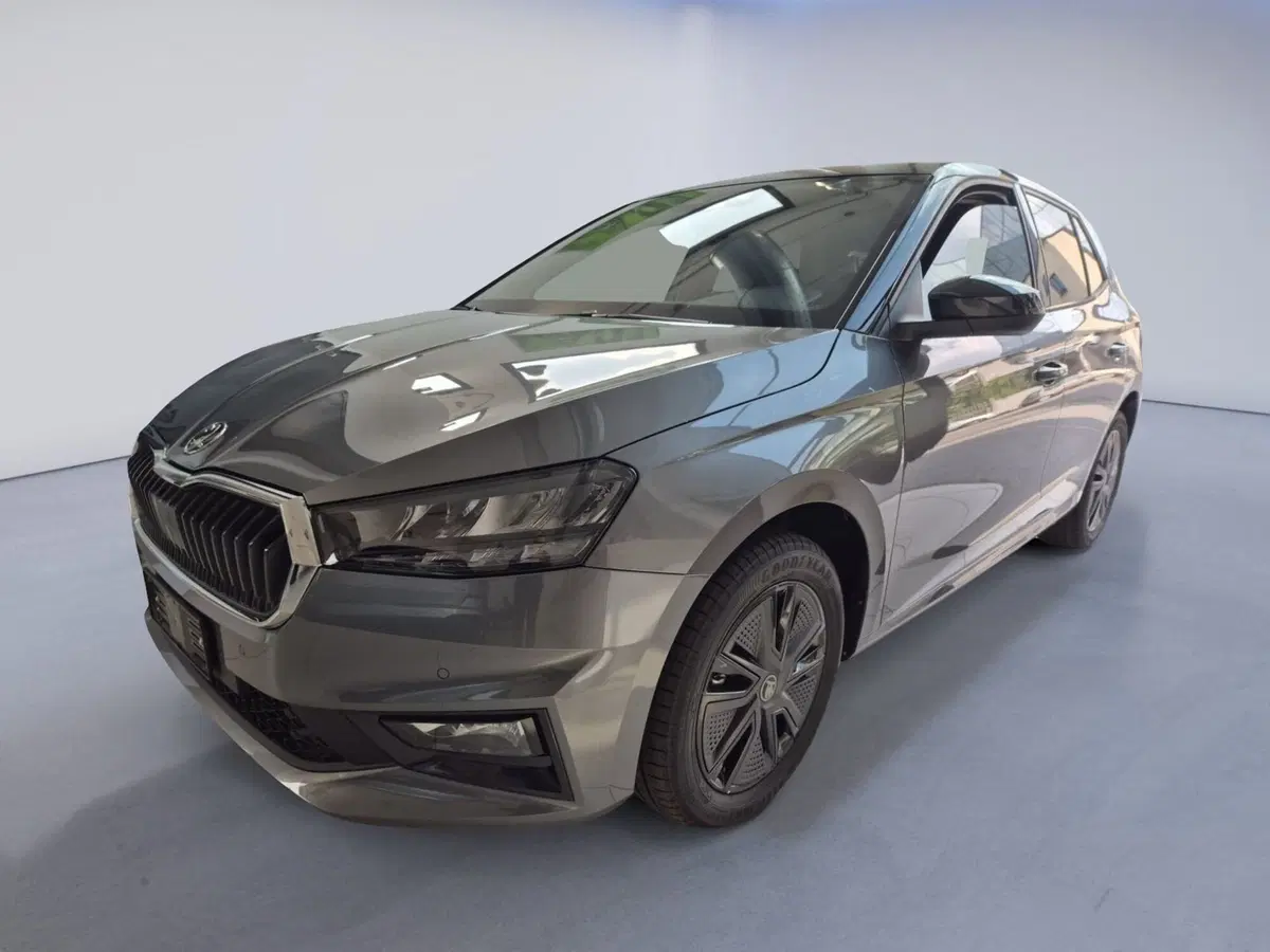 Skoda Fabia nuova a Torino (7)
