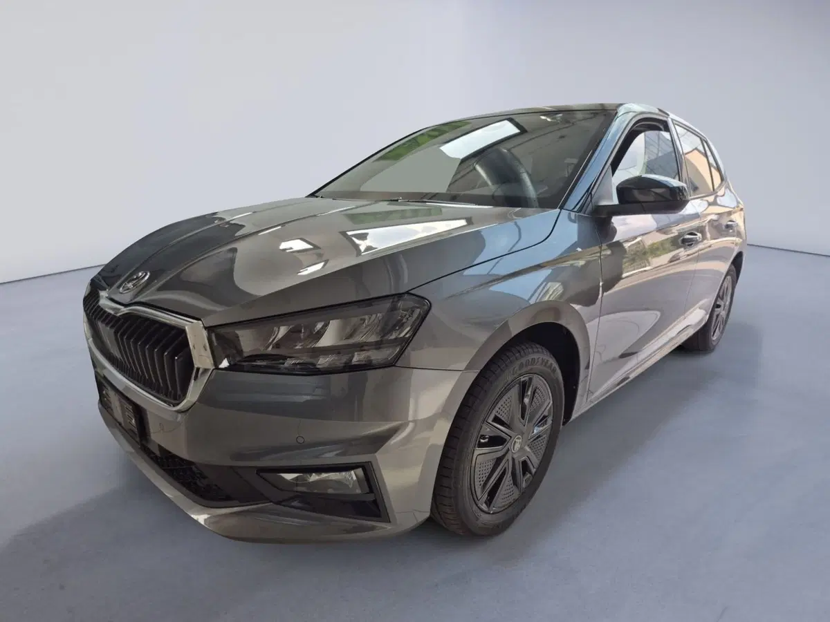Skoda Fabia nuova a Torino (8)