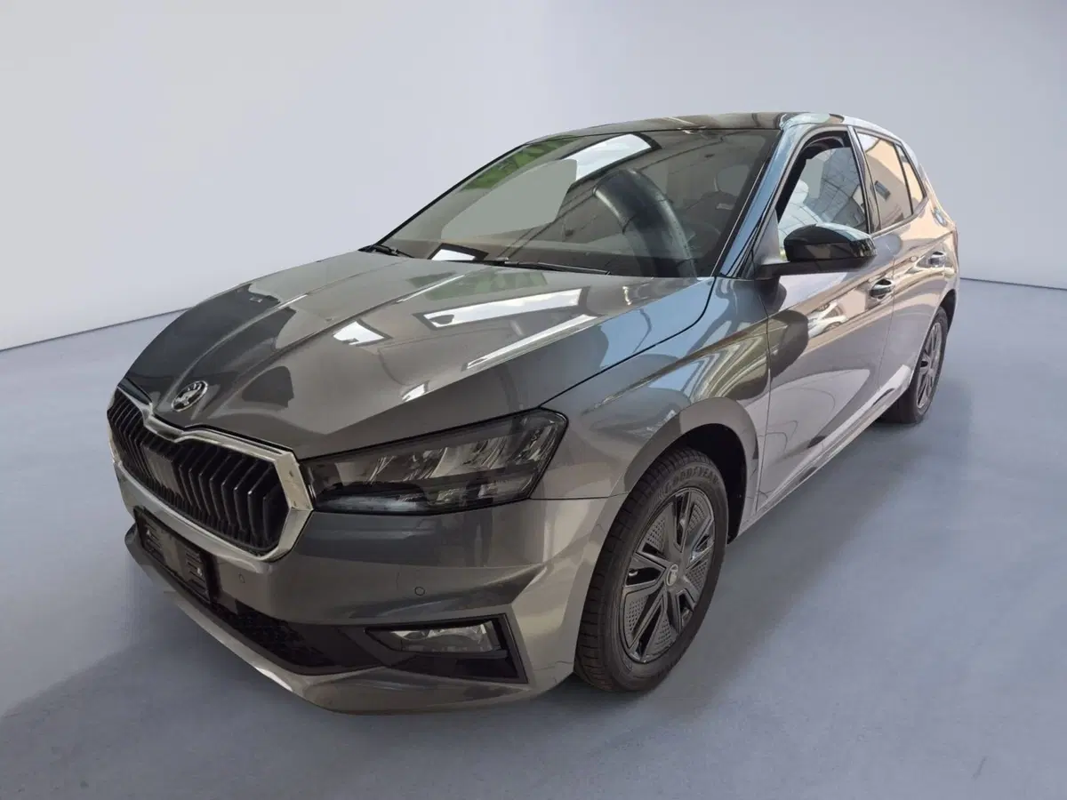 Skoda Fabia nuova a Torino (9)