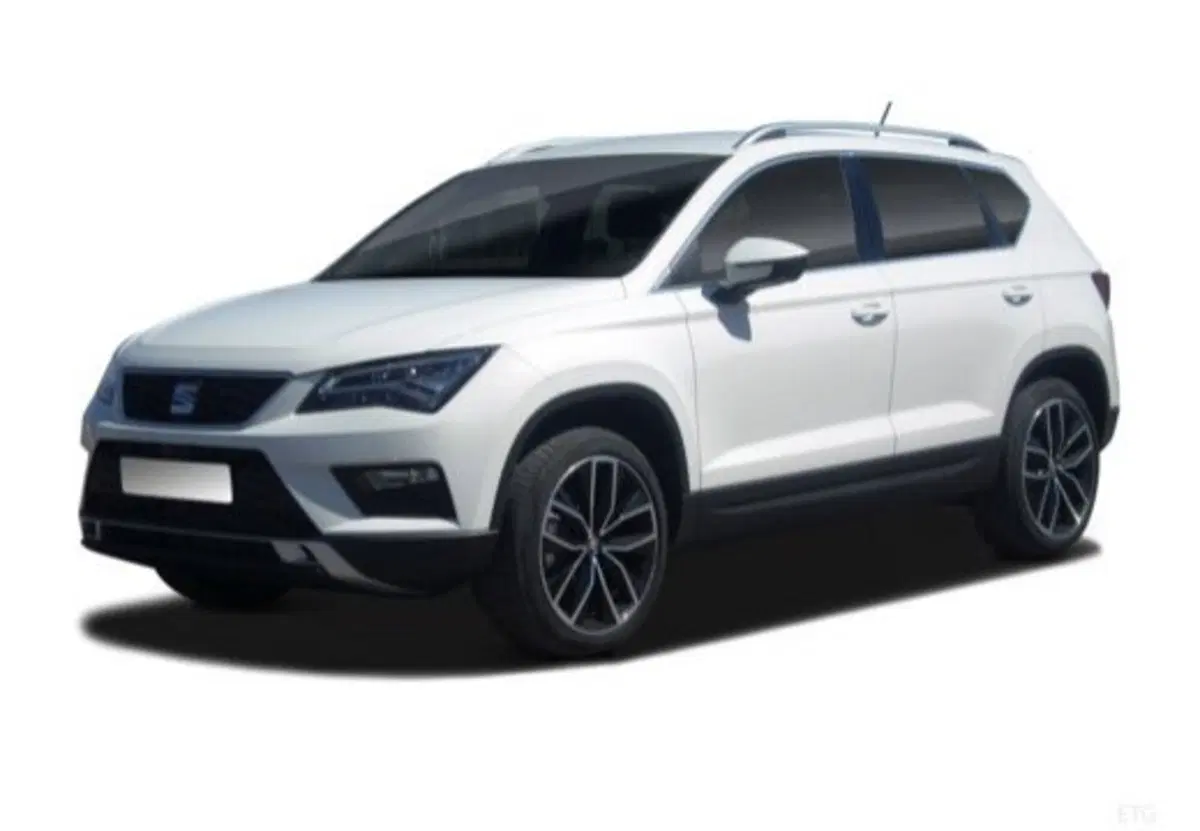 SEAT Ateca usata a Palermo (13)