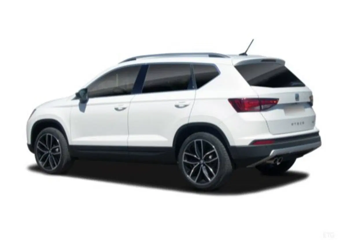 SEAT Ateca usata a Palermo (15)