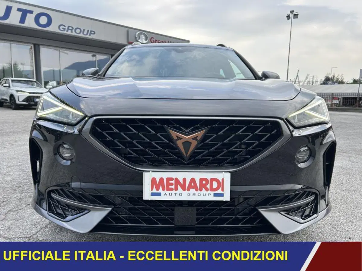 Cupra Formentor usata a Cuneo (2)