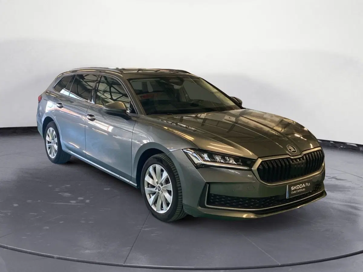 Skoda Superb usata a Catanzaro (3)