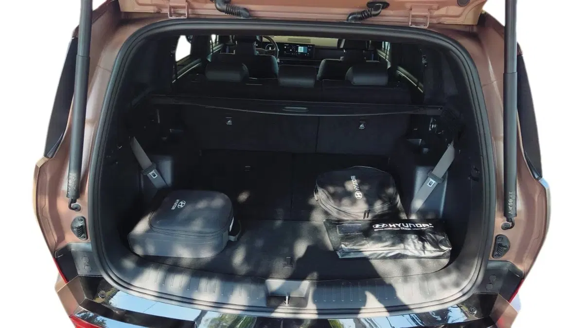 Hyundai Santa Fe usata a Firenze (8)