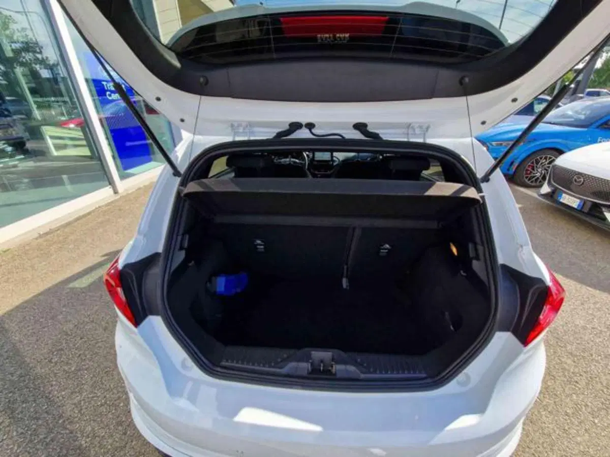 Ford Fiesta usata a Bologna (14)
