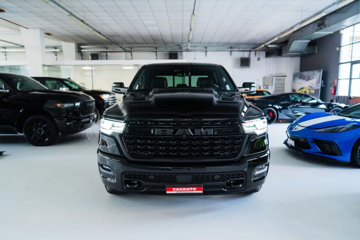 Ram Ram Pick-up nuova a Monza e Brianza (2)