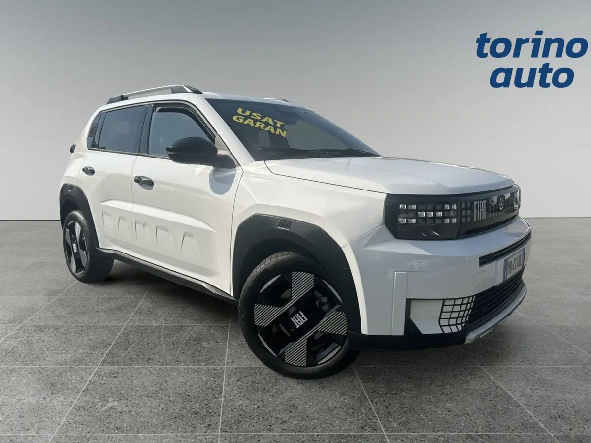 Fiat Grande Panda usata a Torino