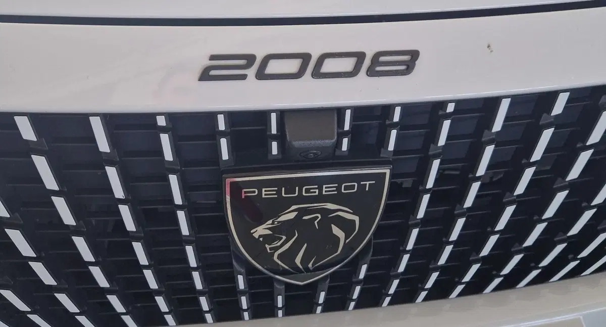 Peugeot 2008 usata a Terni (20)