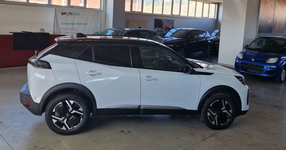 Peugeot 2008 usata a Terni (3)