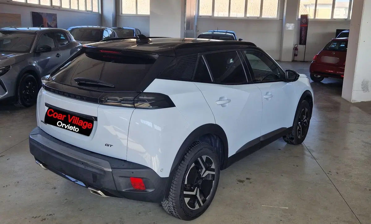 Peugeot 2008 usata a Terni (4)