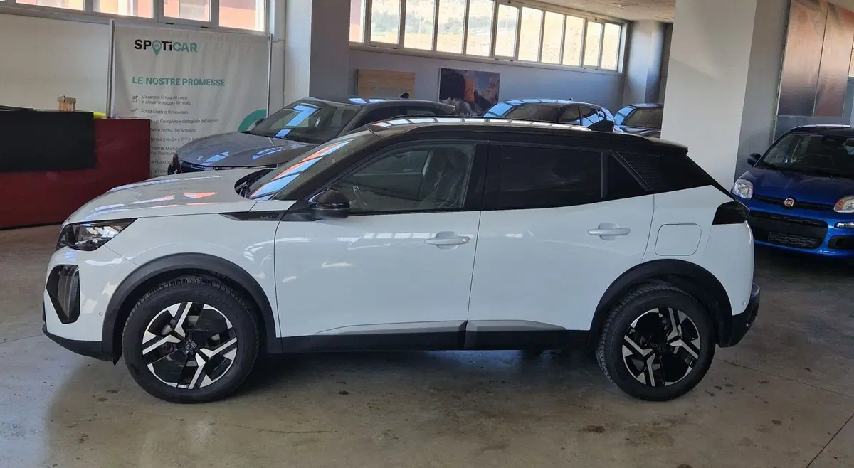 Peugeot 2008 usata a Terni (6)