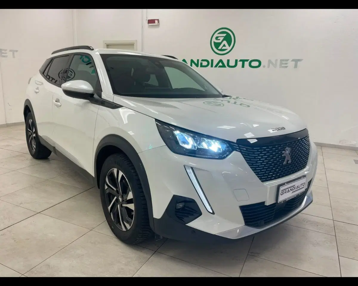 Peugeot 2008 usata a Alessandria (3)
