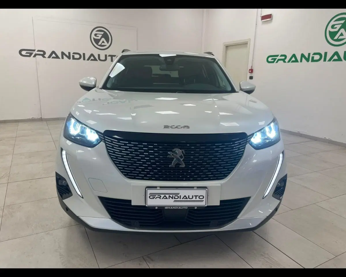 Peugeot 2008 usata a Alessandria (6)