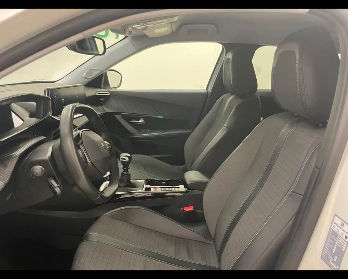 Peugeot 2008 usata a Alessandria (7)