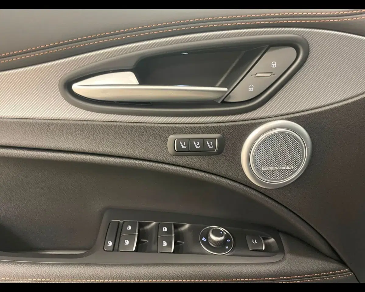 Alfa Romeo Stelvio usata a Alessandria (10)