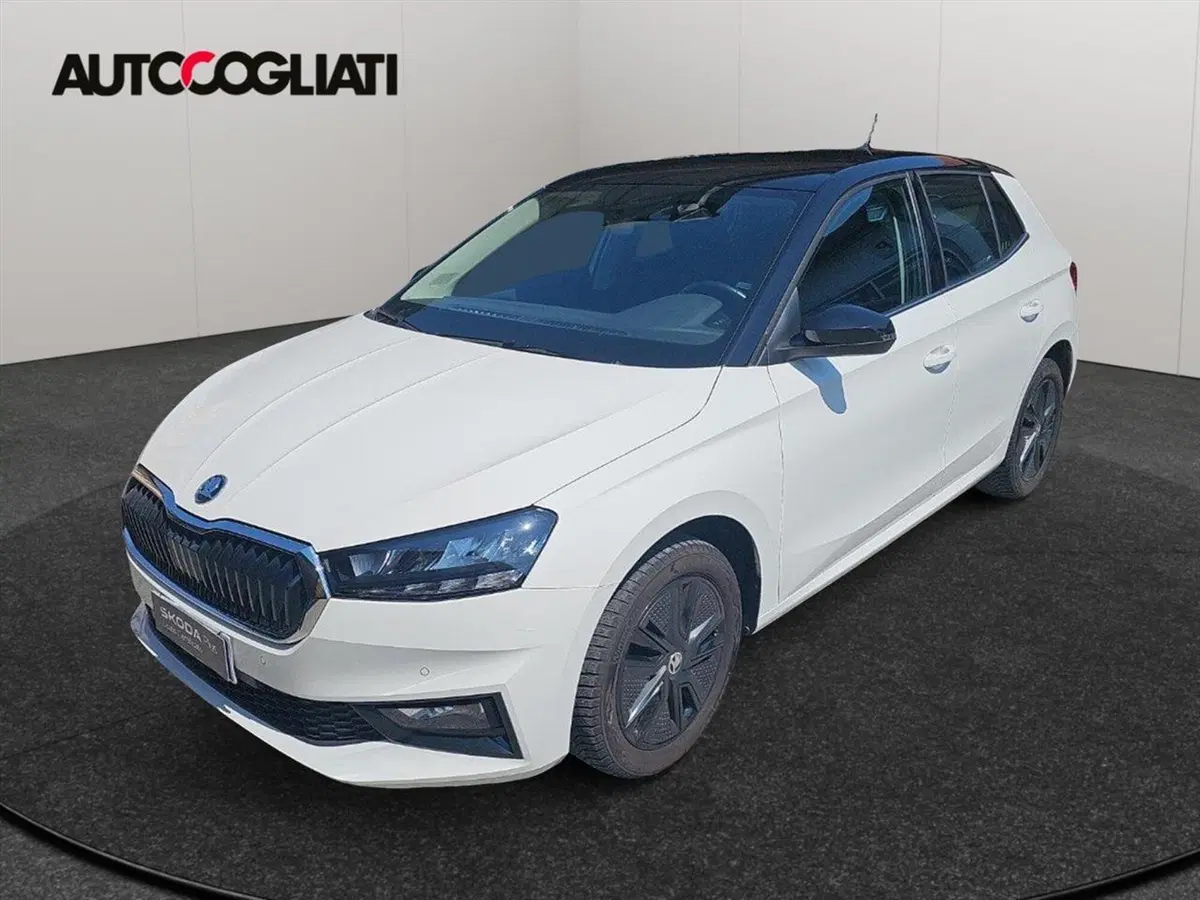Skoda Fabia usata a Lecco
