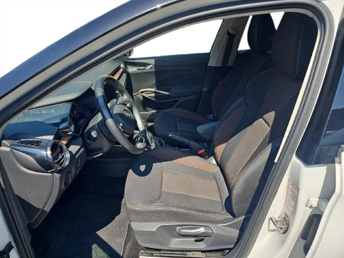 Skoda Fabia usata a Lecco (12)
