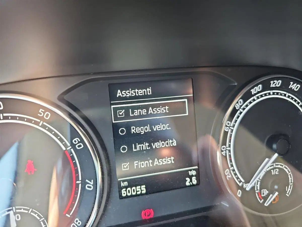 Skoda Fabia usata a Lecco (17)