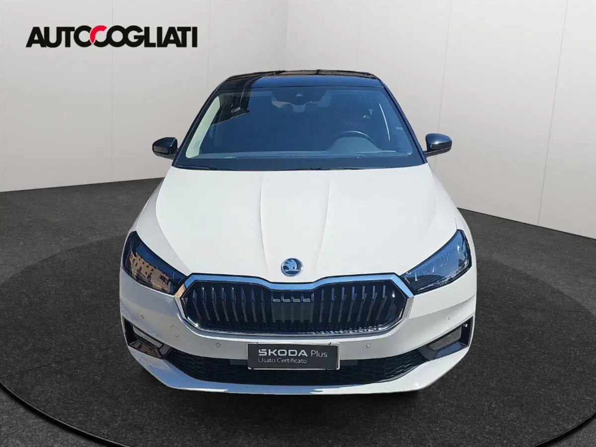 Skoda Fabia usata a Lecco (2)