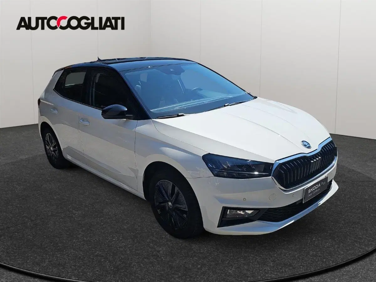 Skoda Fabia usata a Lecco (3)