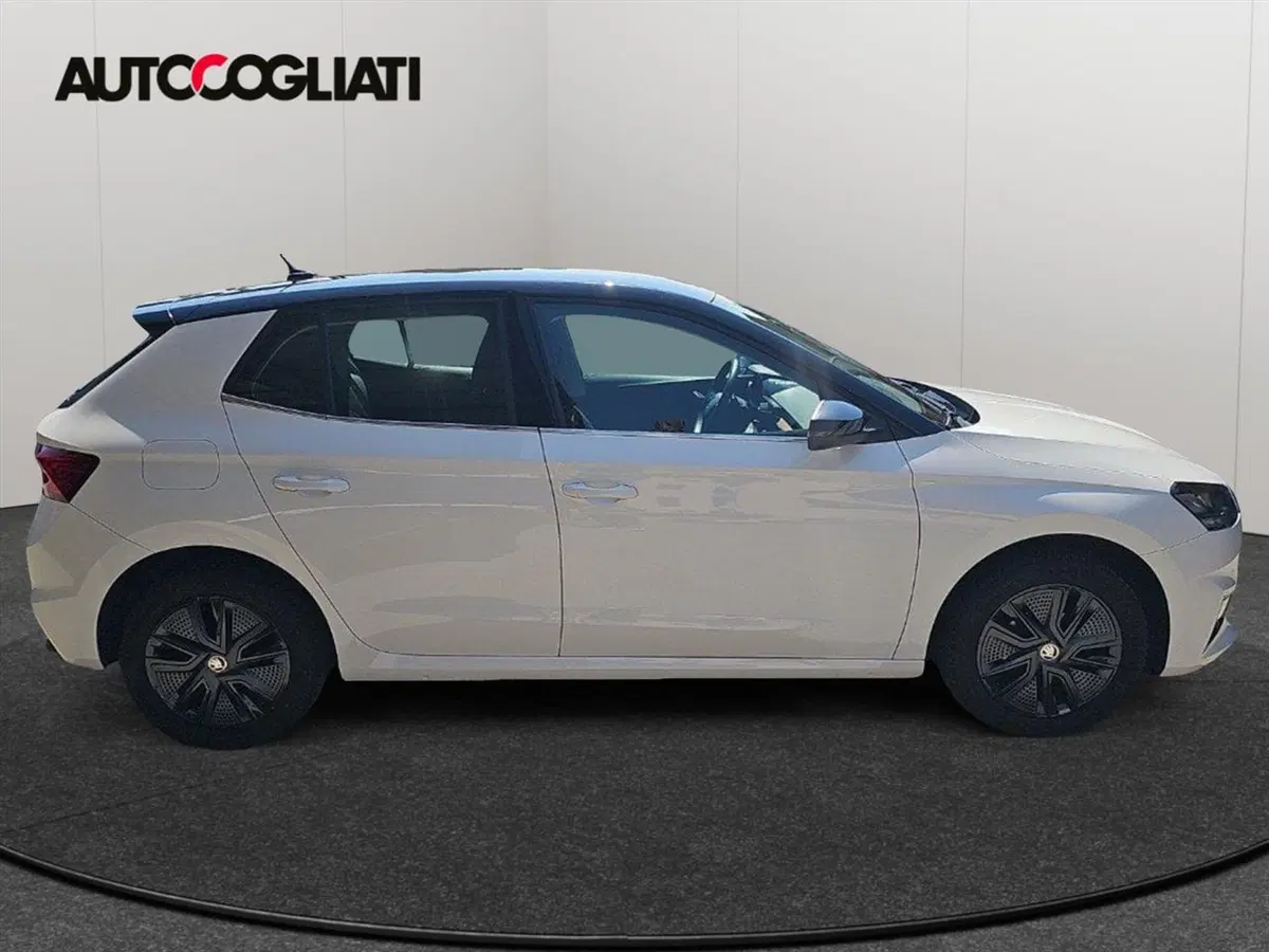 Skoda Fabia usata a Lecco (4)