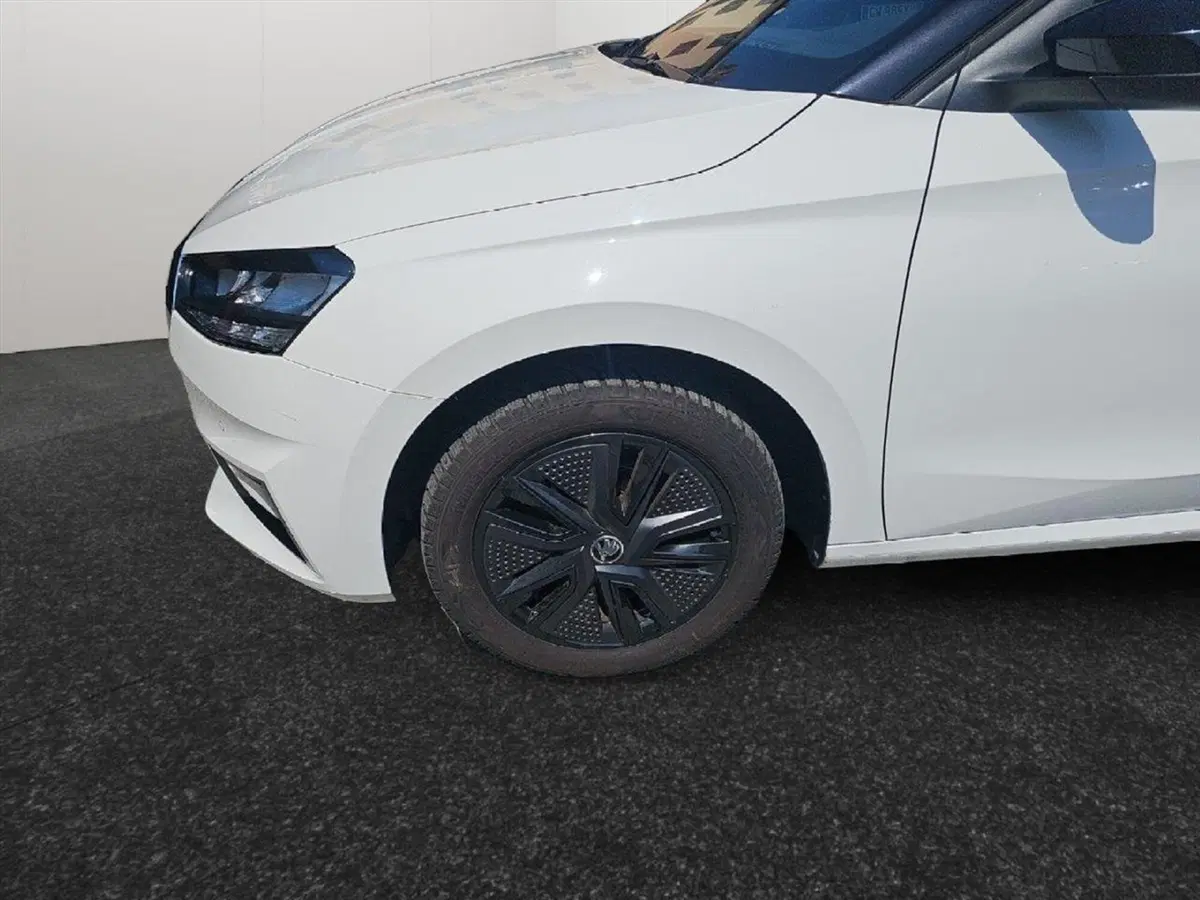 Skoda Fabia usata a Lecco (5)