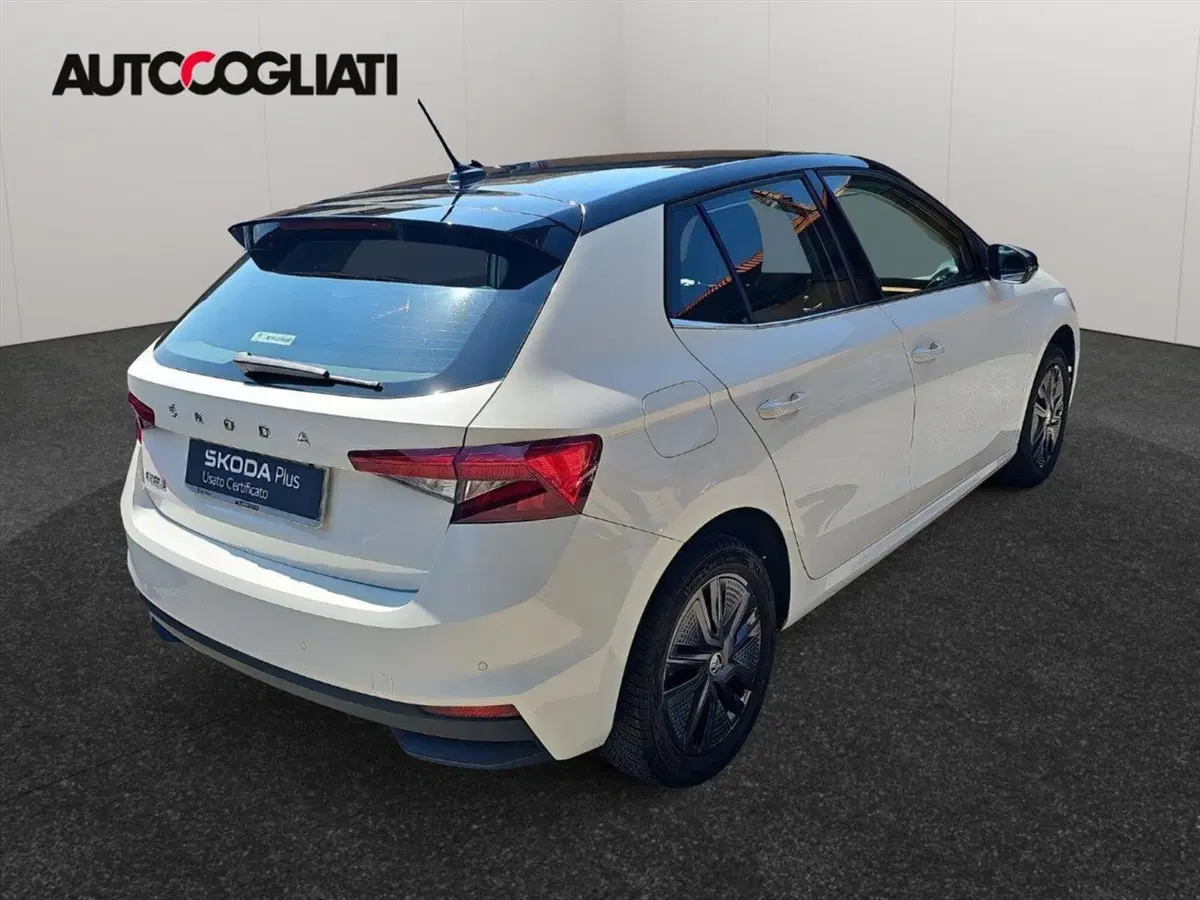 Skoda Fabia usata a Lecco (6)