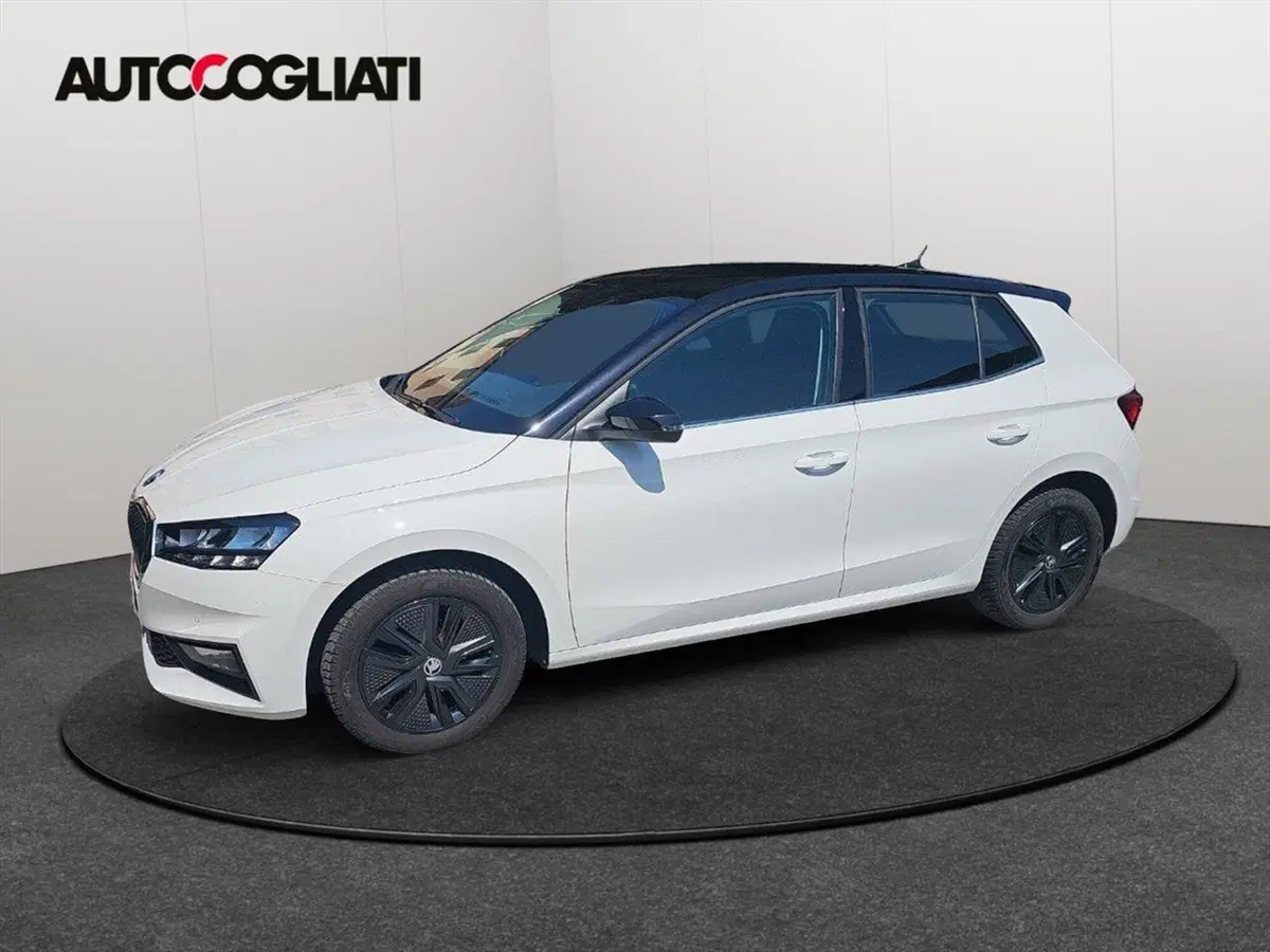 Skoda Fabia usata a Lecco (7)