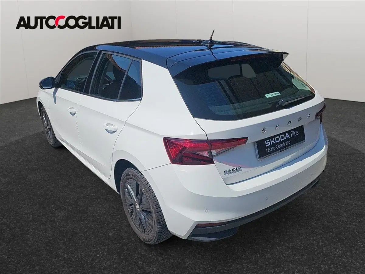 Skoda Fabia usata a Lecco (8)