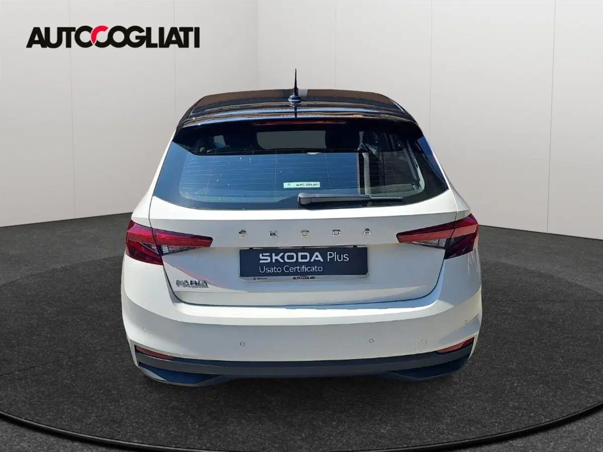 Skoda Fabia usata a Lecco (9)