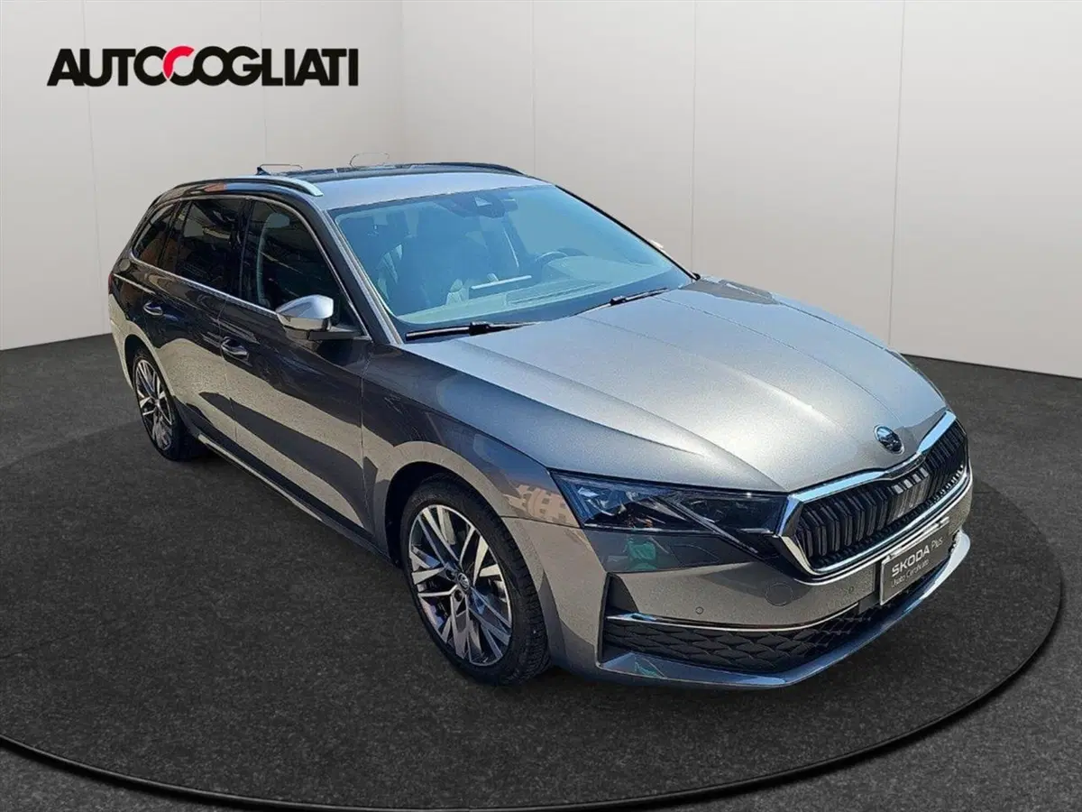 Skoda Octavia Station Wagon usata a Lecco (3)